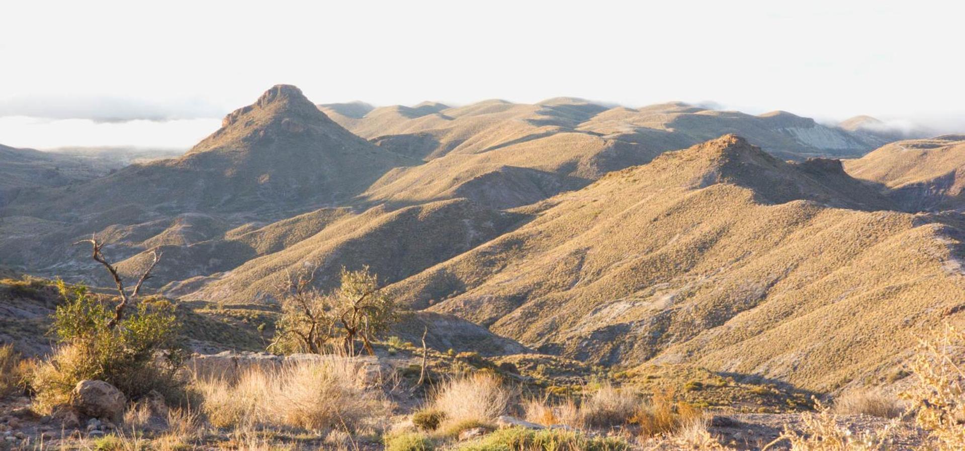 Cortijo El Albaricoque De La Sierra - Finca De 75 Hectareas ! Нихар Экстерьер фото