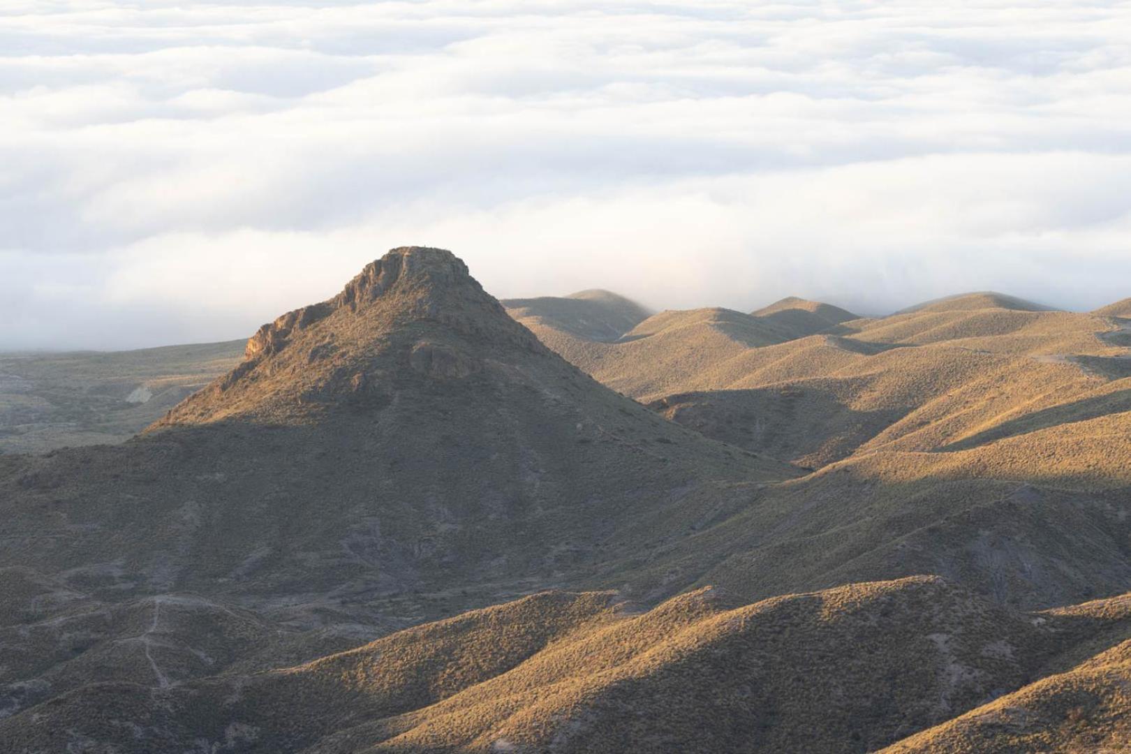 Cortijo El Albaricoque De La Sierra - Finca De 75 Hectareas ! Нихар Экстерьер фото