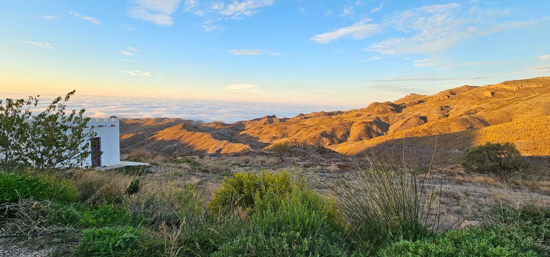 Cortijo El Albaricoque De La Sierra - Finca De 75 Hectareas ! Нихар Экстерьер фото
