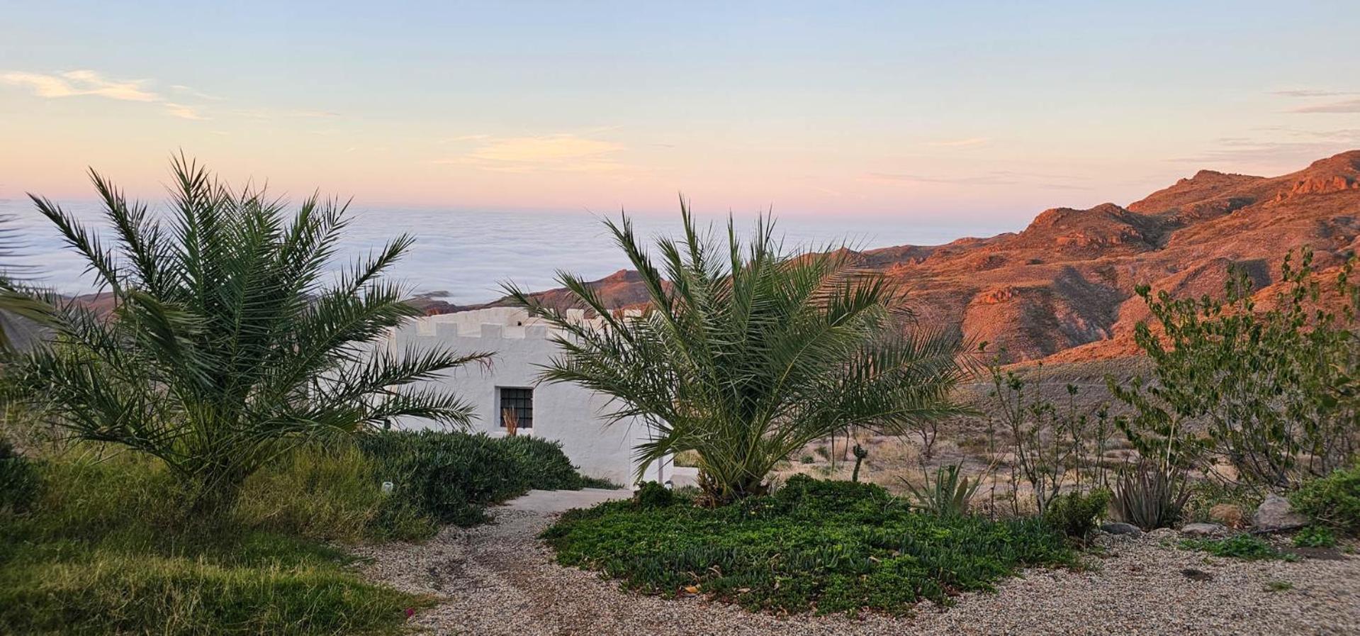 Cortijo El Albaricoque De La Sierra - Finca De 75 Hectareas ! Нихар Экстерьер фото