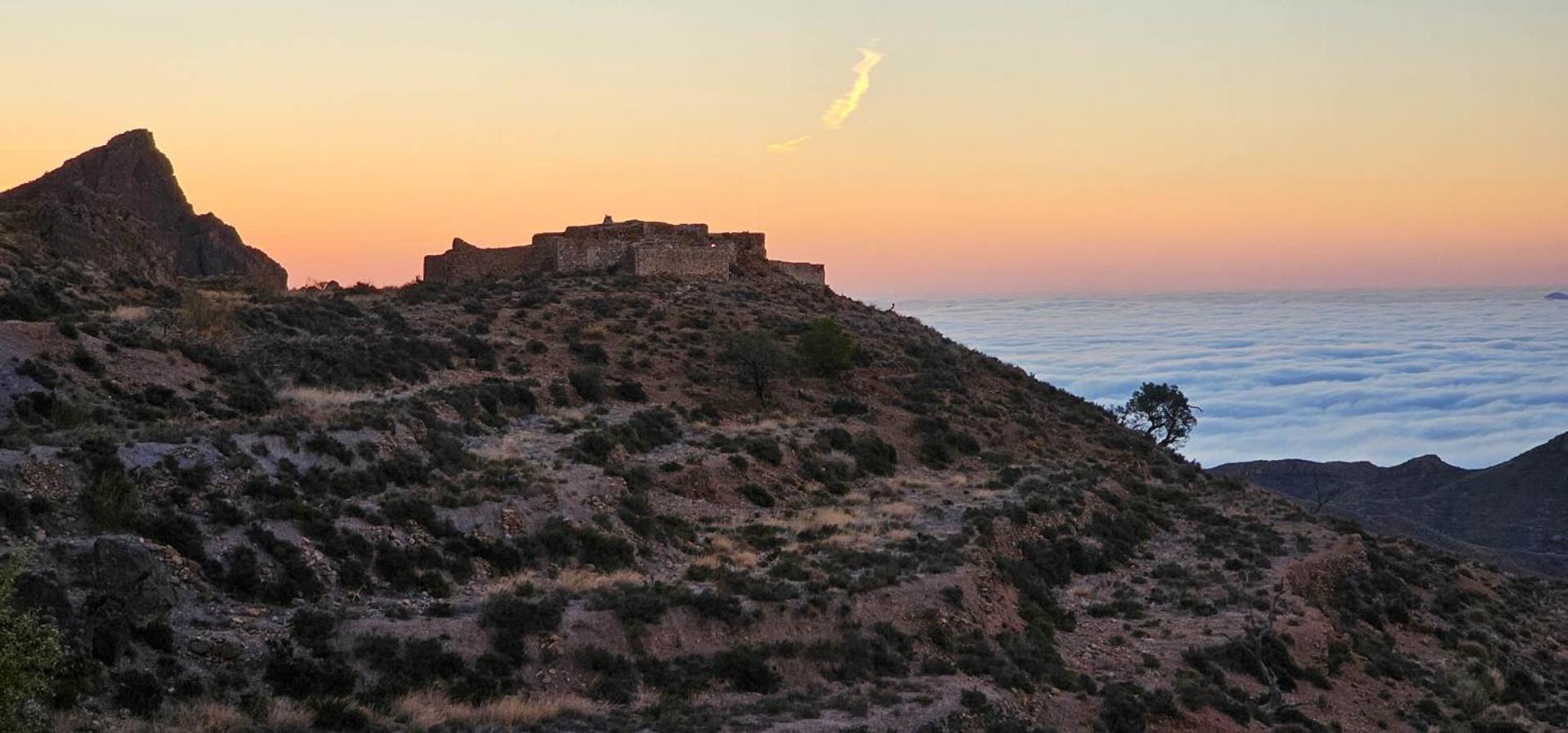 Cortijo El Albaricoque De La Sierra - Finca De 75 Hectareas ! Нихар Экстерьер фото